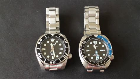 Seiko Turtle vs. Sumo .